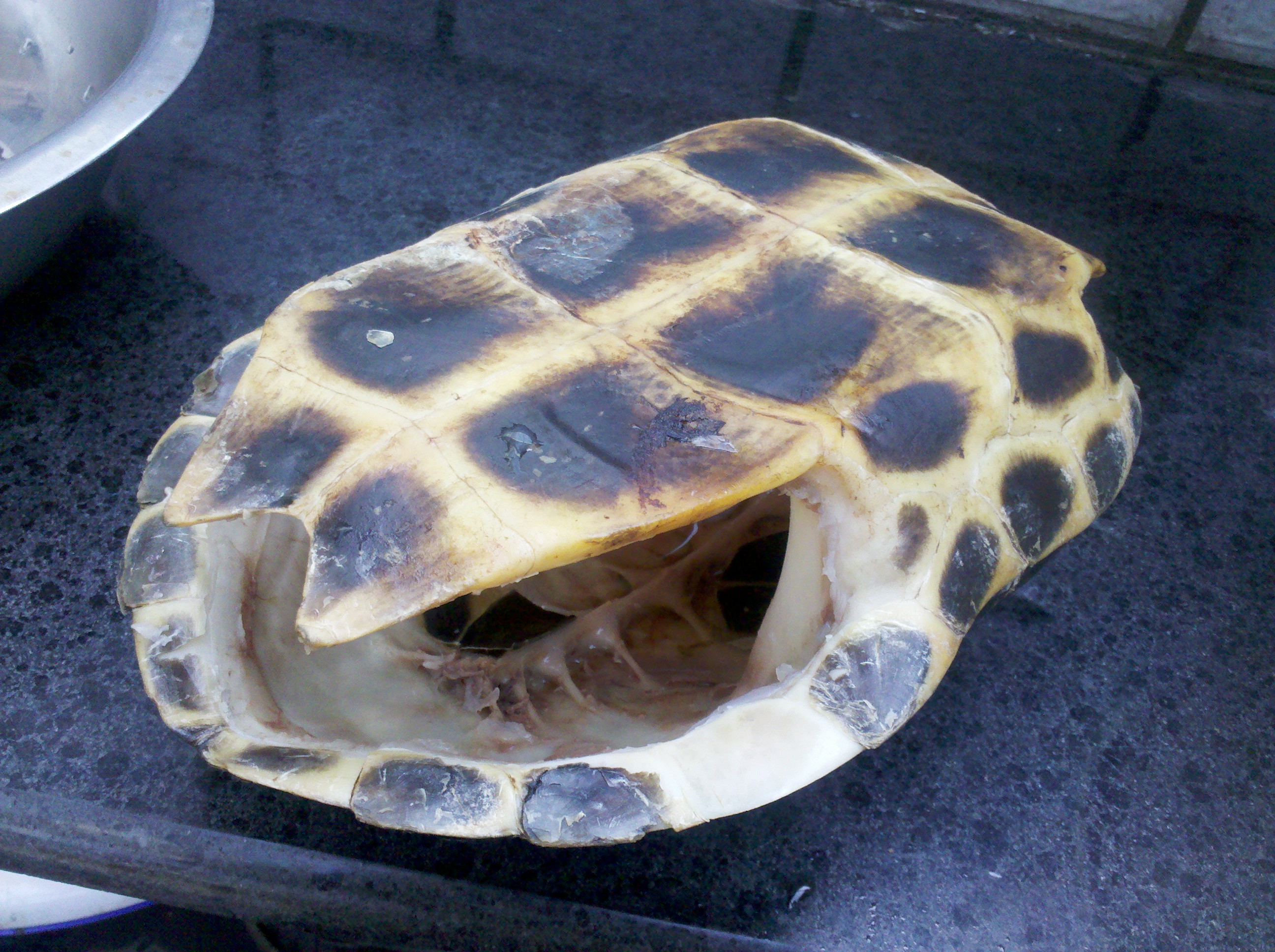 战斗结束
