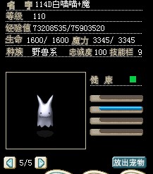 110级白喵喵.jpg
