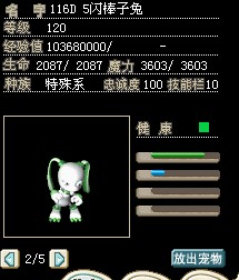120棒子兔.jpg