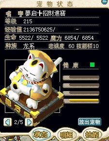 猫1号1.jpg