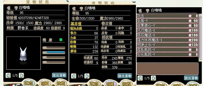 白喵喵.jpg