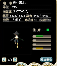 个性极品C鸟人M1577，4M