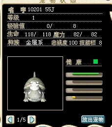 灰色龟.jpg