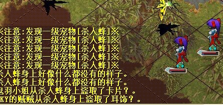 11月25日杀人蜂.jpg