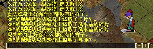 11月25日虎头蜂.jpg
