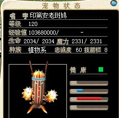 火舞0.jpg