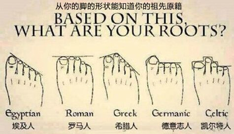 QQ截图20150510214300.jpg