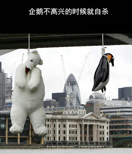 QQ截图20150510222454.jpg