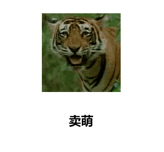 6e7905a7jw1ers7e08992g209908l0yz.gif