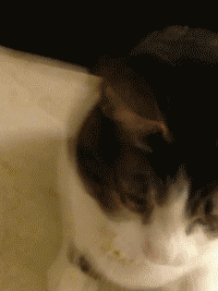 QQ图片20150615203039.gif