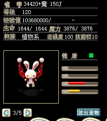 兔子1.jpg