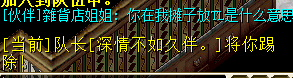 我加队伍问，他把我T出队伍