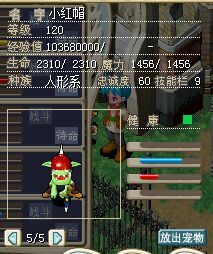 红帽子1.jpg