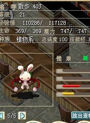 兔子.jpg