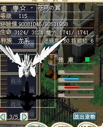 翼龙1.jpg