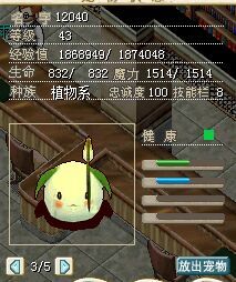 粽子.jpg