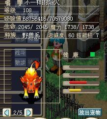 红狗1.jpg