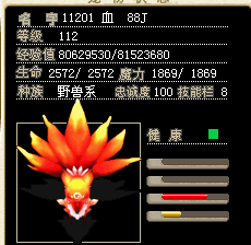 狐狸 65J