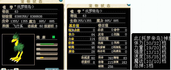鸟.png