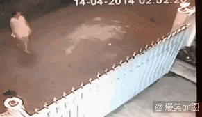 555555555555555555.gif