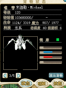 白龙1.jpg