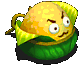 .gif