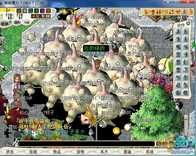 8.jpg