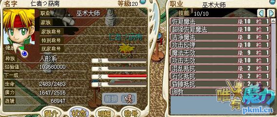 巫师.jpg