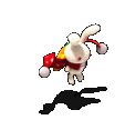 围巾兔.gif