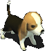 ȸȮ.gif