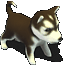 ʿȮ.gif