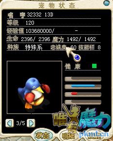 企鹅1.jpg