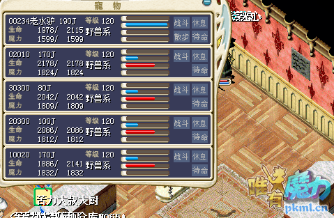 一队驴.png