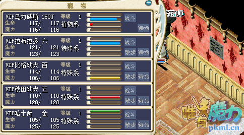 猪 节日狗.png