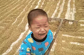 干活干活