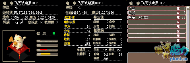 91飞天猫.png