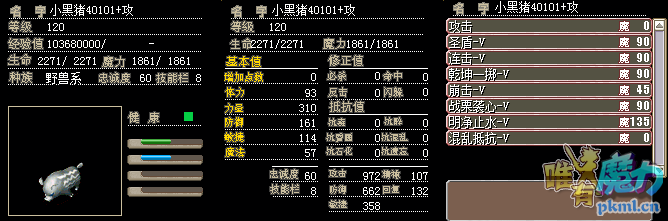 小黑猪.png
