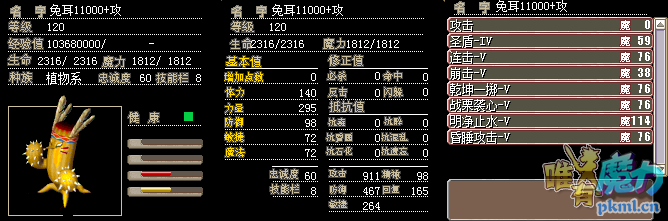 兔耳仙人掌.png