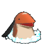 QQͼƬ20200906034940.gif