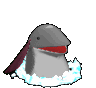QQͼƬ20200906034945.gif