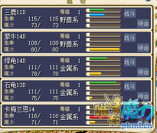招牌牛、龟 10J