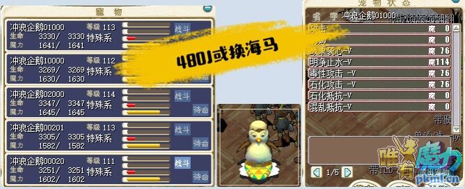 企鹅.jpg