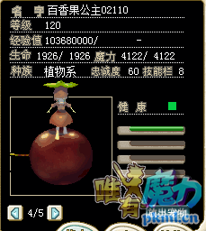 百香果2.png