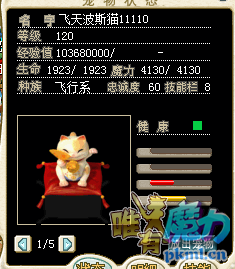 飞天波斯猫 (2).png