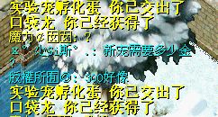未命名222.jpg