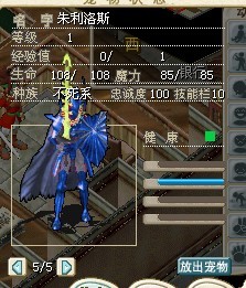 转5.jpg