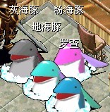 海豚.jpg
