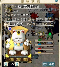 大猫咪1.jpg