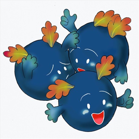 炸弹