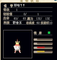 可爱宠